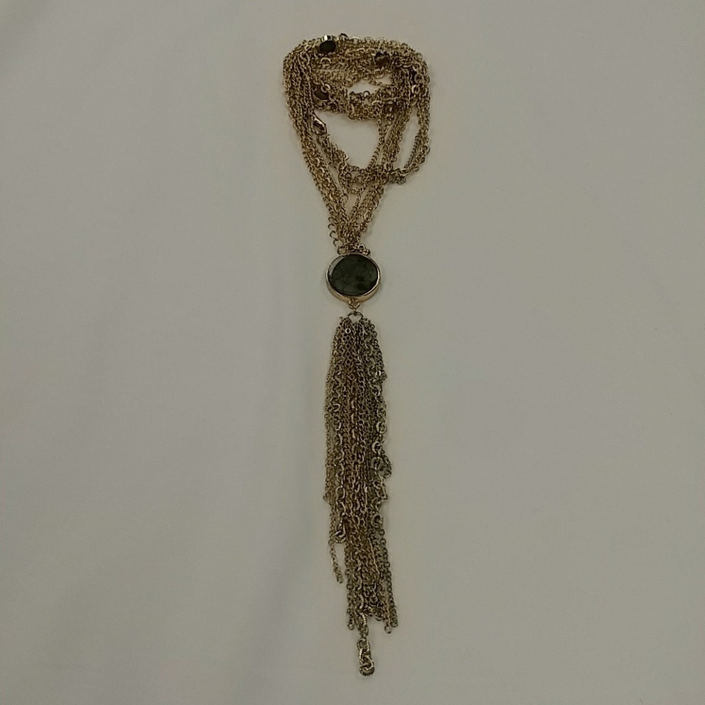 Charming Charlie Necklace